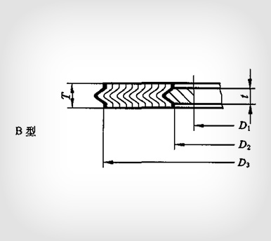 B型